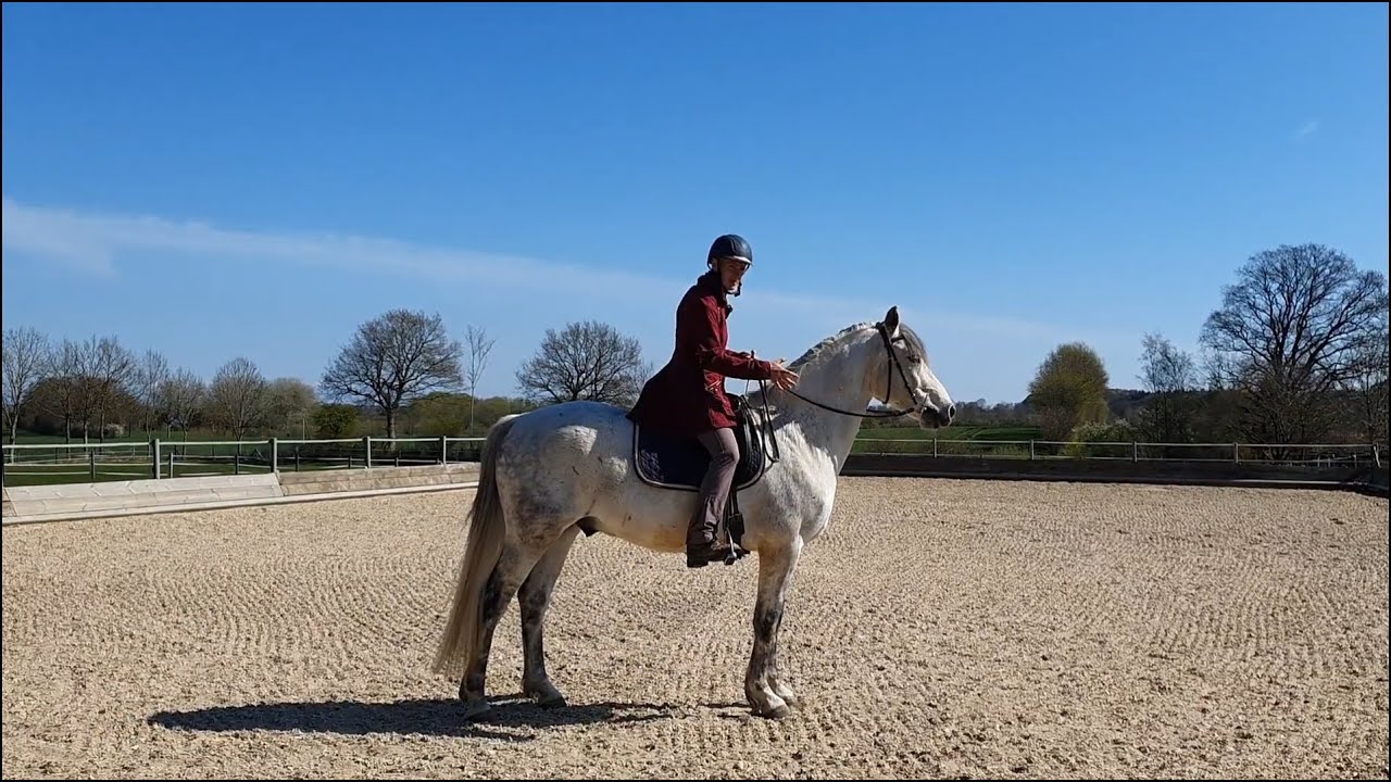 Reiten im Hier und Jetzt #12 - Tempounterschiede und seitwärts am Sitz im Schritt