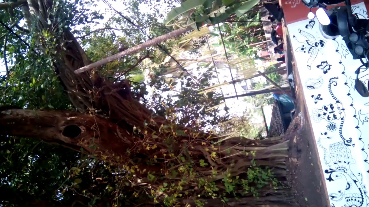Thiruvennur Subramanian Swami temple, Calicut(2)