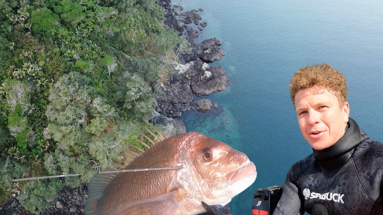 Epic Spearfishing & Exploring New Zealand Coastline. Part 2. Camp Catch Cook.
