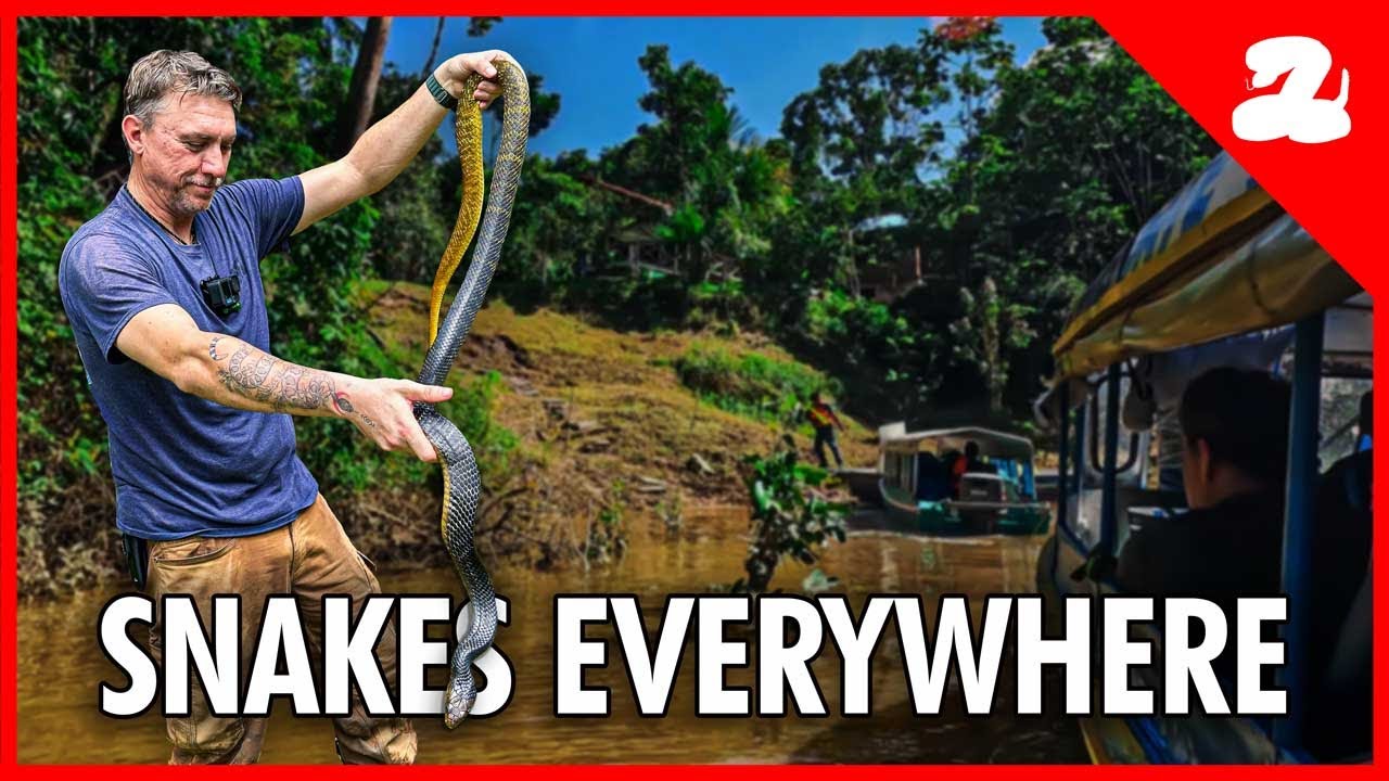 We Went DEEP Into the Amazon Rainforest... And Things Got Crazy