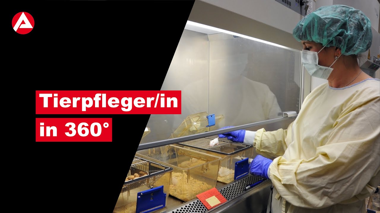 Tierpfleger/in in 360&deg;&ndash; Forschung und Klinik  🐾🔬🩺