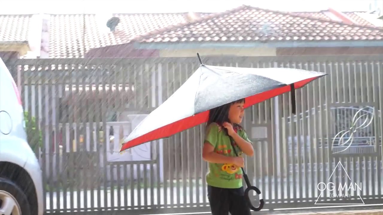 The Perfect Umbrella | The Last Umbrella You Will Ever Buy!