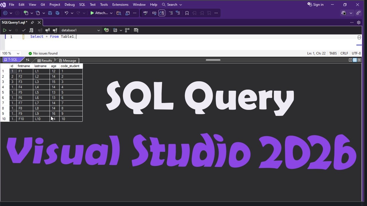 How to connect SQL server and  visual studio 2026 and run SQL query