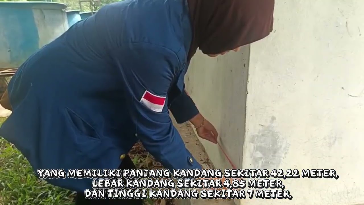 OBSERVASI KANDANG AYAM PETELUR