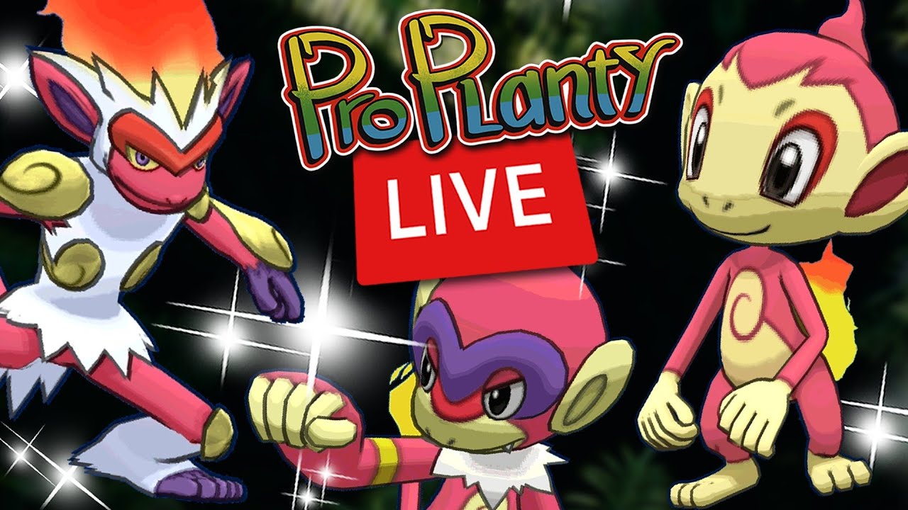 Chimchar Community Day LIVE Shiny Hunt Australia Pokemon GO