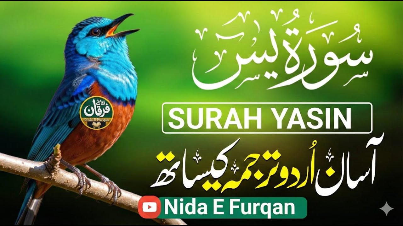 Surah Yasin Full with Urdu & Hindi Translation | Heart of Quran | سورة يس | Qari Mansoor Ghzanavi