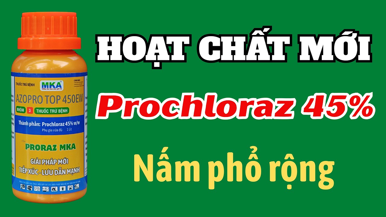 Sản phẩm chứa hoạt chất Prochloraz 45% dạng EW | Giải pháp mới quản lý nấm bệnh phổ rộng
