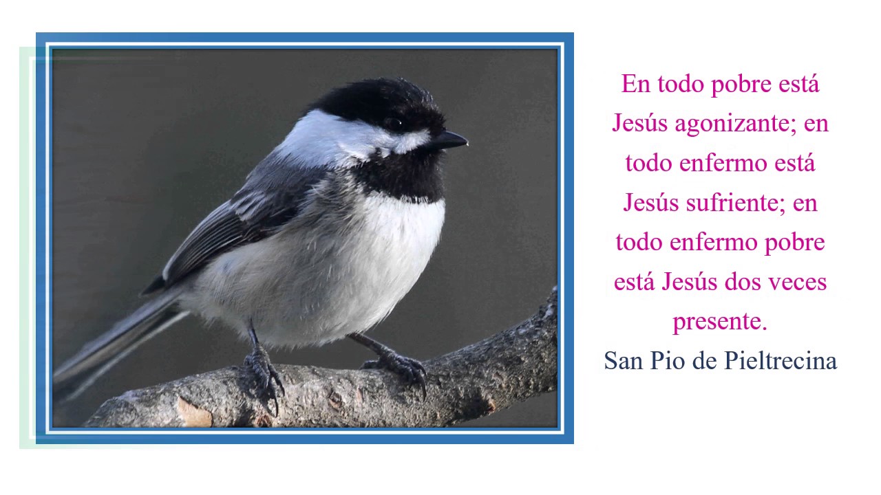 Frases de Santos