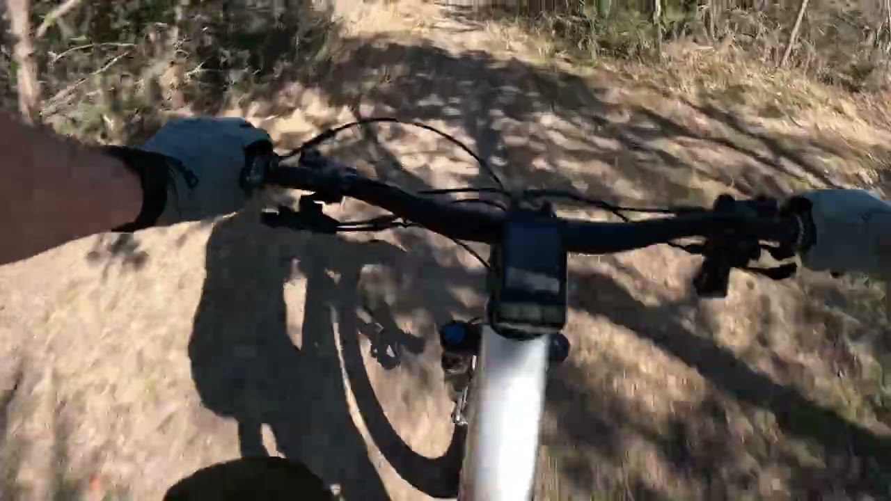 Blue Loop @ McAllister Park 16 Feb 2026
