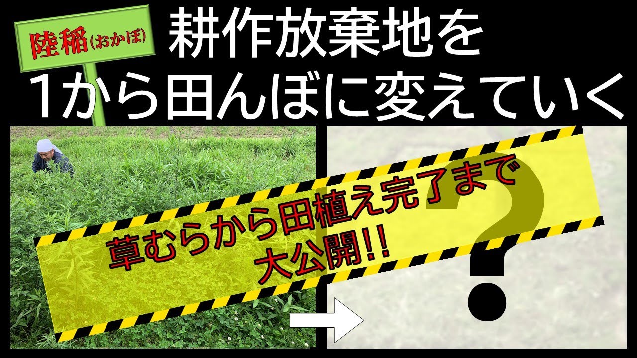 耕作放棄地を１から田んぼに変えていく〜草むらから田植え完了まで大公開‼～【陸稲】