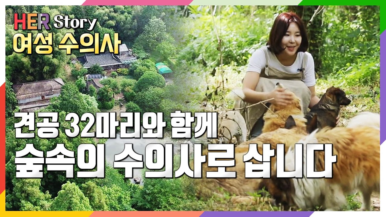 [방송 하이라이트] 서른 두 마리 견공과 숲속에서 사는 수의사, 시골 개를 생각하다 (KBS 20220618 방송)