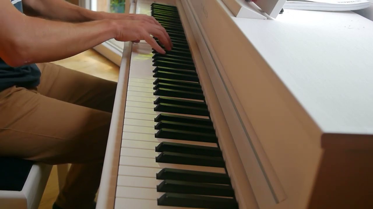 Flume - Nicholas Bamberger - Cover by Aubry Tandé