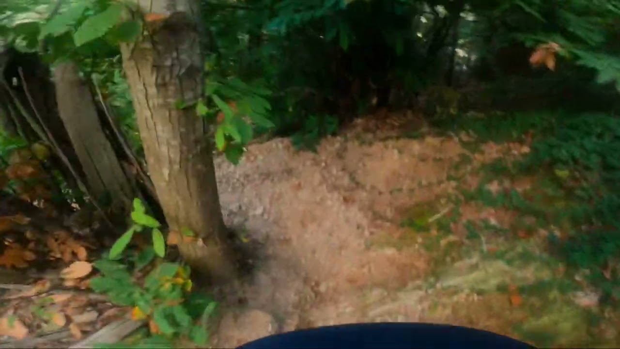 (Pisa Mtb) Monte Serra - Mecleod Trail + Cancello Rosso (cuts)