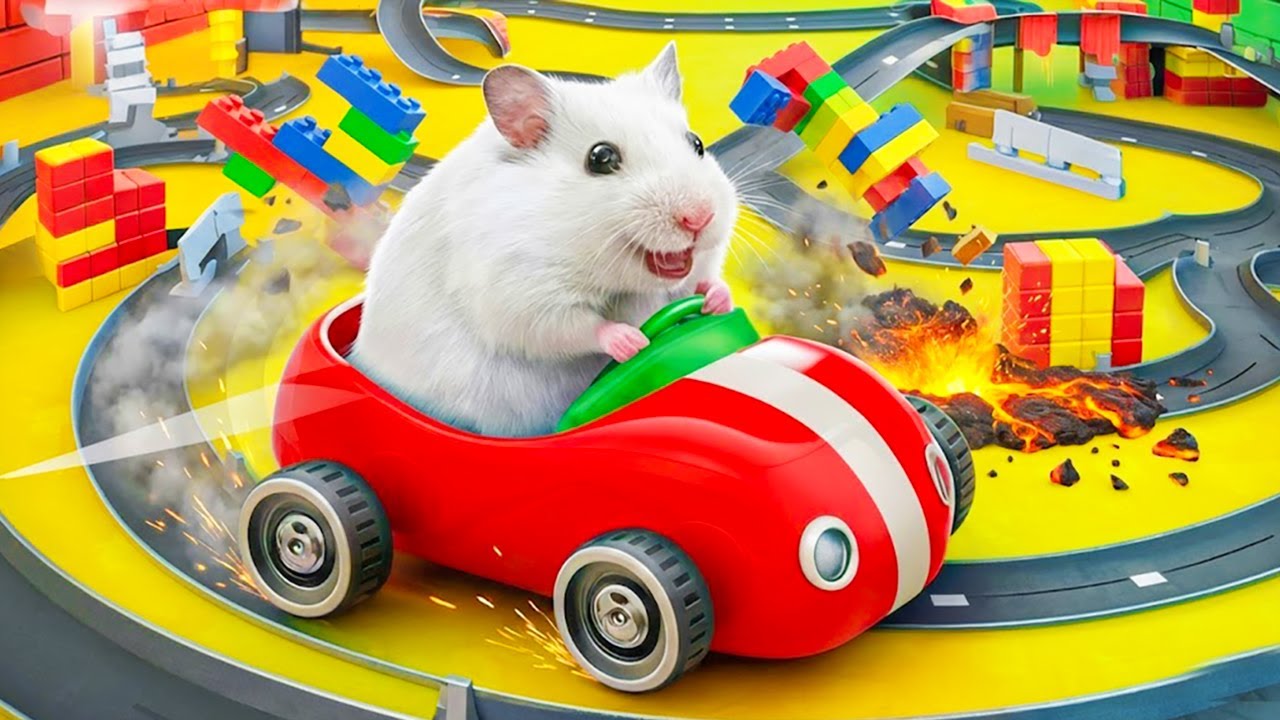 Hamster Escapes from Lava Race Track Maze | Hamster Maze
