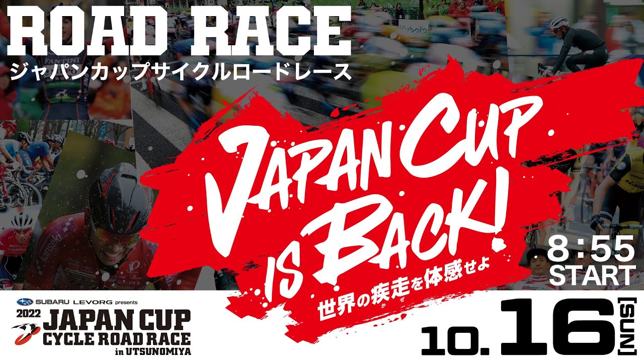 2022 JAPAN CUP CYCLE ROAD RACE / Day 3. ROAD RACE