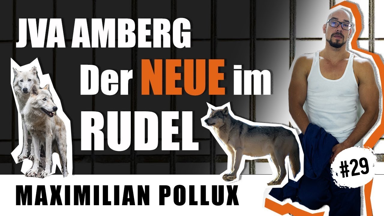 Der Neue im Rudel / JVA Amberg - Folge 29