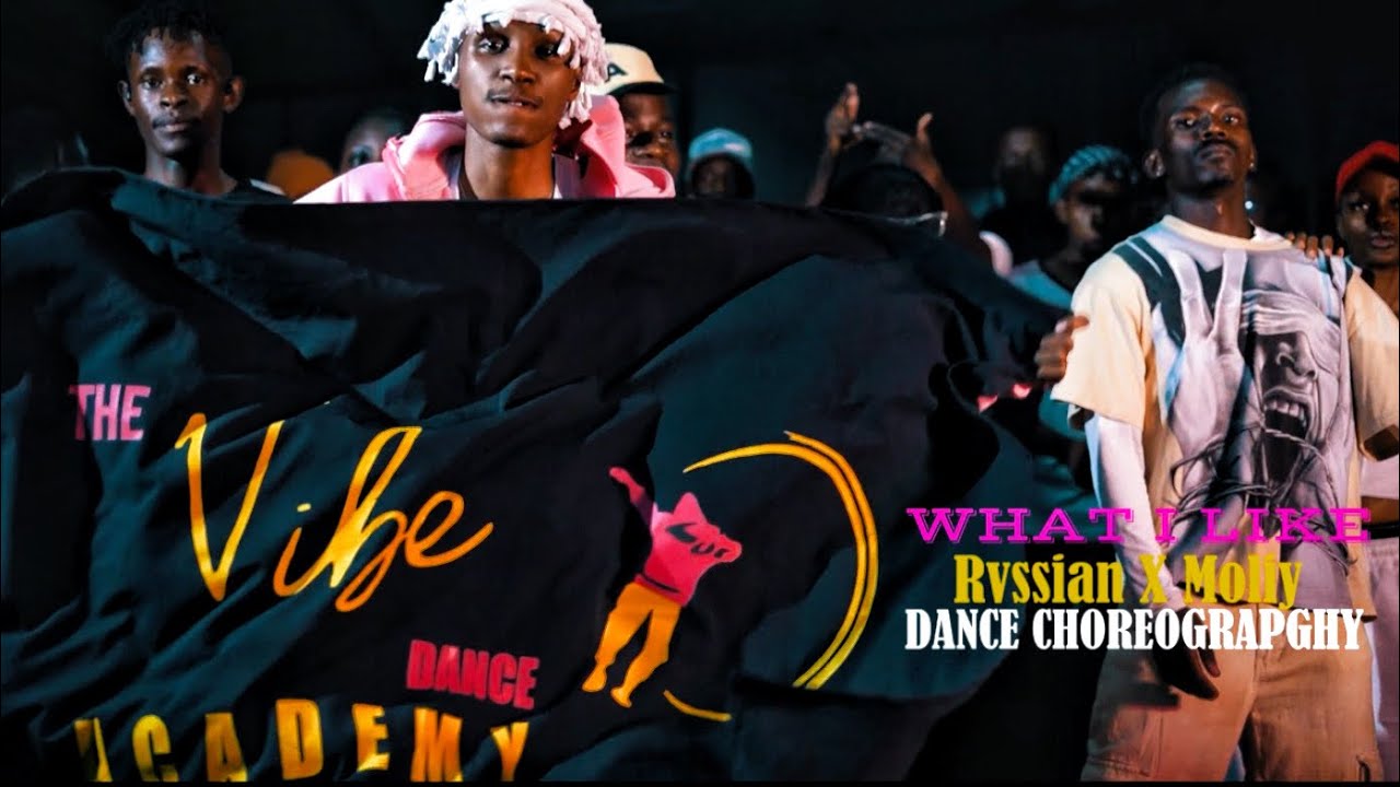 What I like - Rvssian ,Moliy ,Ayetian & Tyga || Dance choreography || Thee vibe dance academy KE 🇰🇪