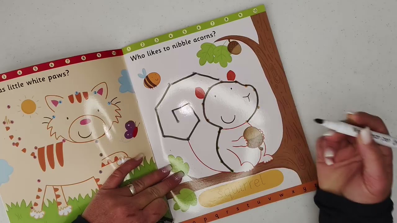 CT2R 2406 003 Animal Wipe Clean Book