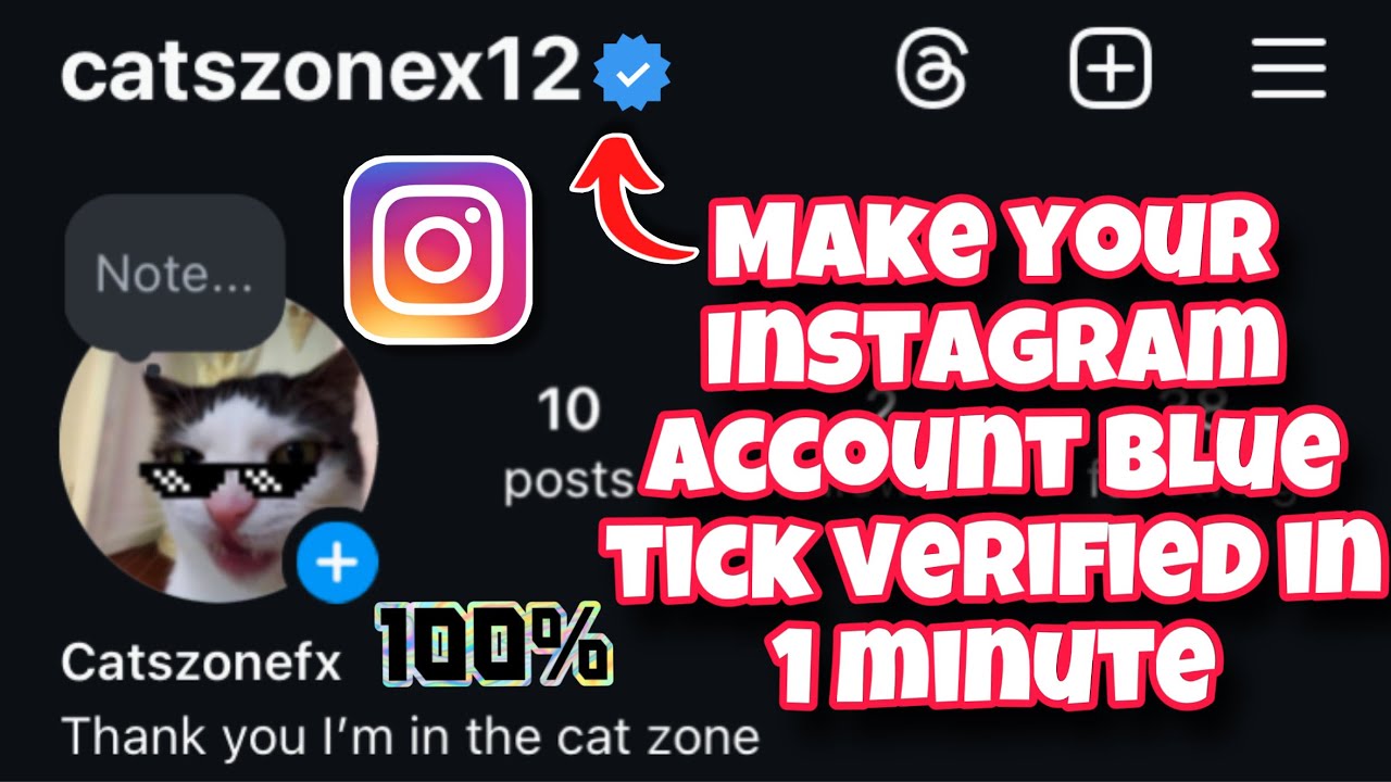 How to make your Instagram account blue tick verified in 1 minute
