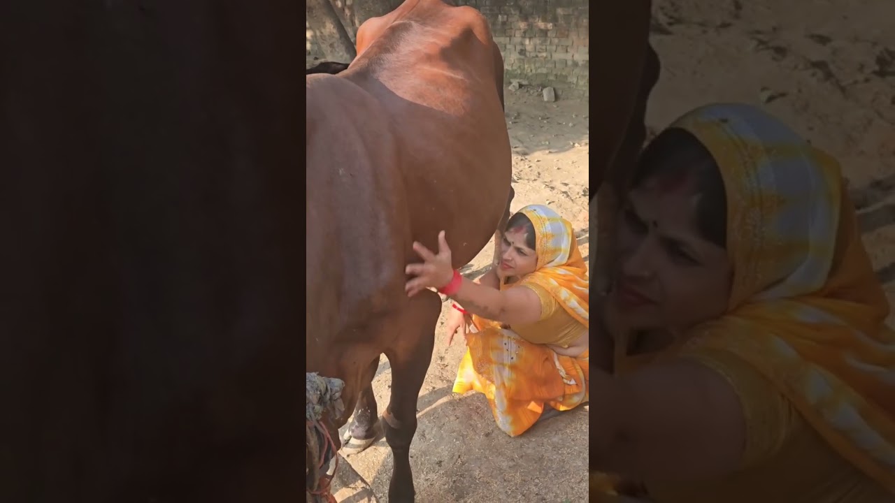 Trending / YouTube Style 7. Real Village Life | Desi Cow Milking 8. Pure Desi Gaon Life | No Filter 