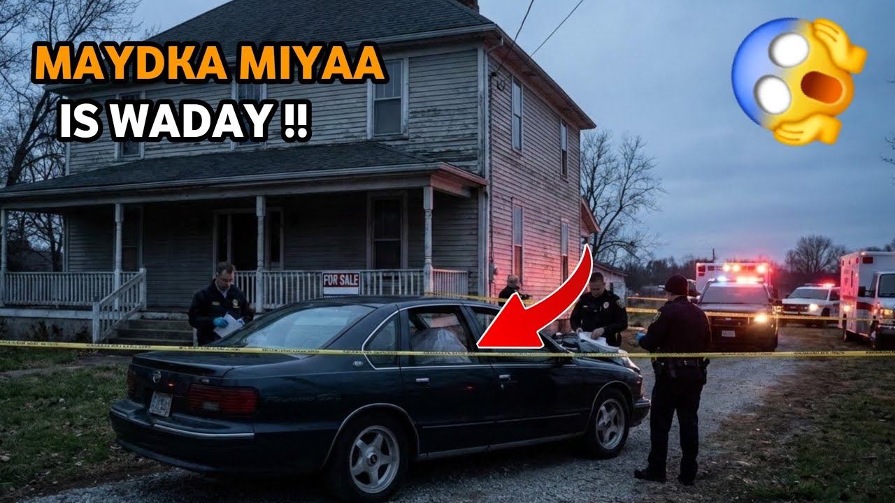 DILAA KHIYAANO BADAN HADDANA DOQON AH!!
