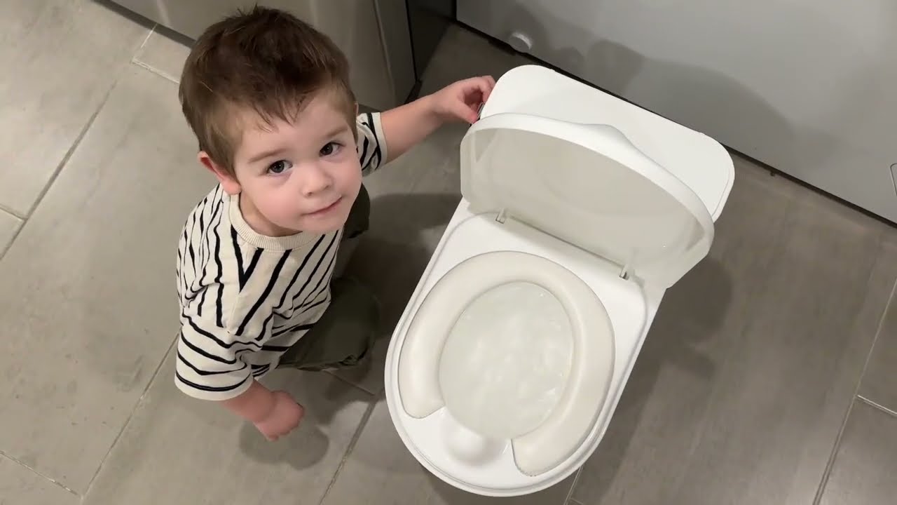 CheerTry 2 in 1 Toddler Potty Training Toilet, Larger Potty Chair & Detachable Training Seat Review