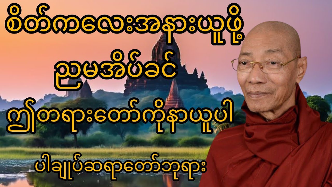 စိတ်ကလေးအနားယူဖို့ညမအိပ်ခင်ဤတရားတော်ကိုနာယူပါ#buddha #dhamma #buddhadhamma #ပါမောက္ခချုပ် #views 