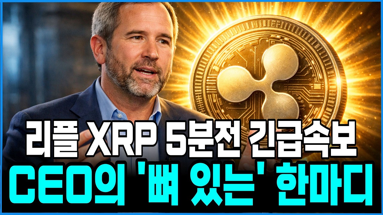 [리플 xrp] (긴급) 리플 CEO 갈링하우스의 뼈 있는 한마디! 엑스알피 홀더분들 필수시청 #xrp #리플전망 #xrp대응