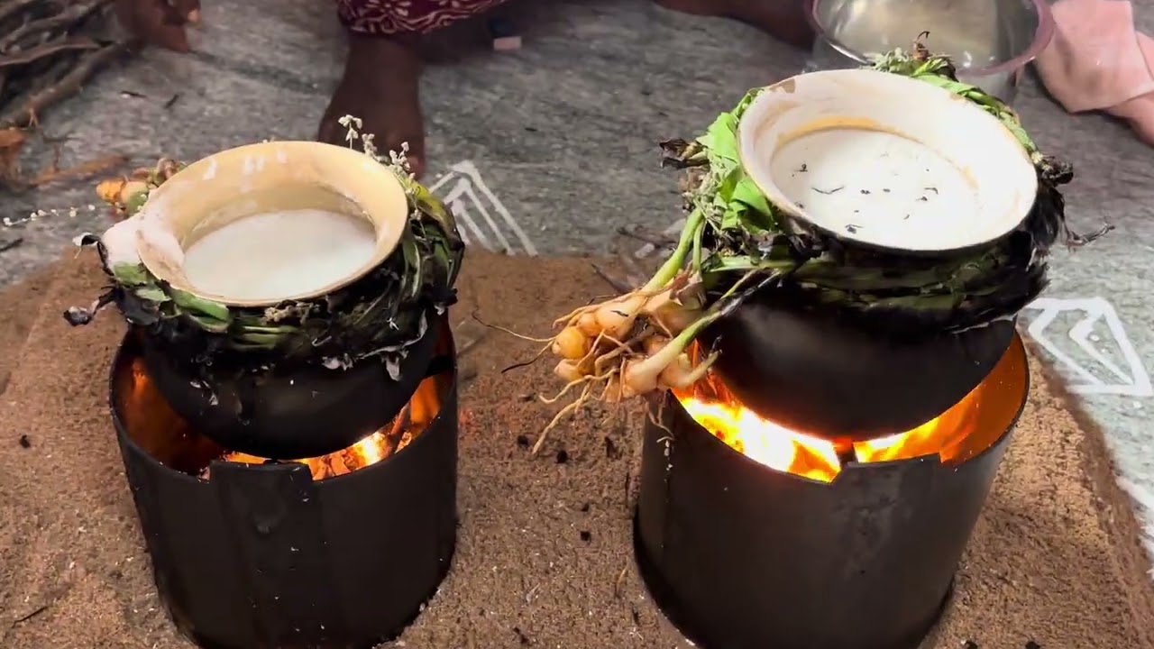 #pongal2026 #home #happiness 