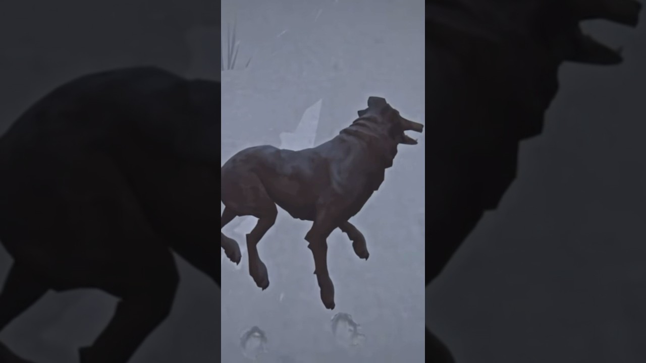 Curator&rsquo;s Rifle is King - THE LONG DARK #thelongdark