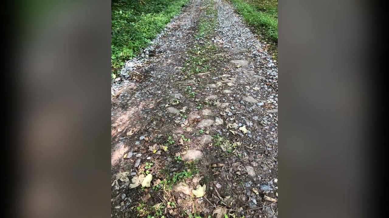 Die Alte Eberbacher Stra&szlig;e von Gammelsbach nach Eberbach