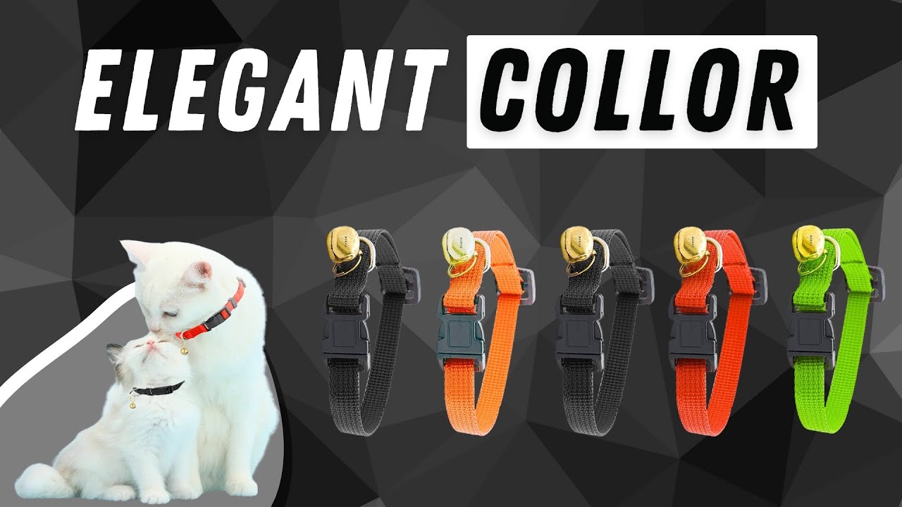 Buraq Perfect Plain Cat Collar
