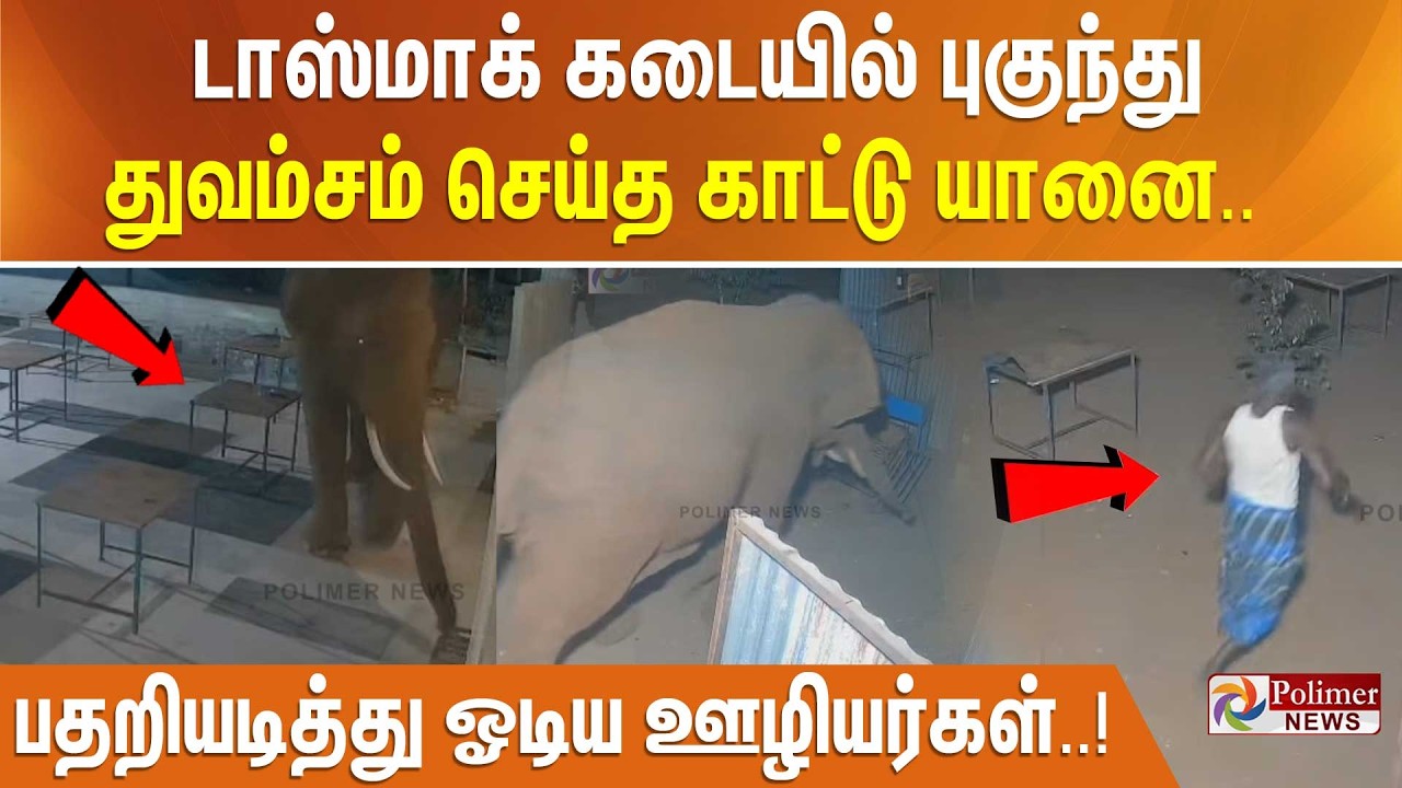 டாஸ்மாக் கடையில் புகுந்து துவம்சம் செய்த காட்டு யானை.. பதறியடித்து ஓடிய ஊழியர்கள்..!