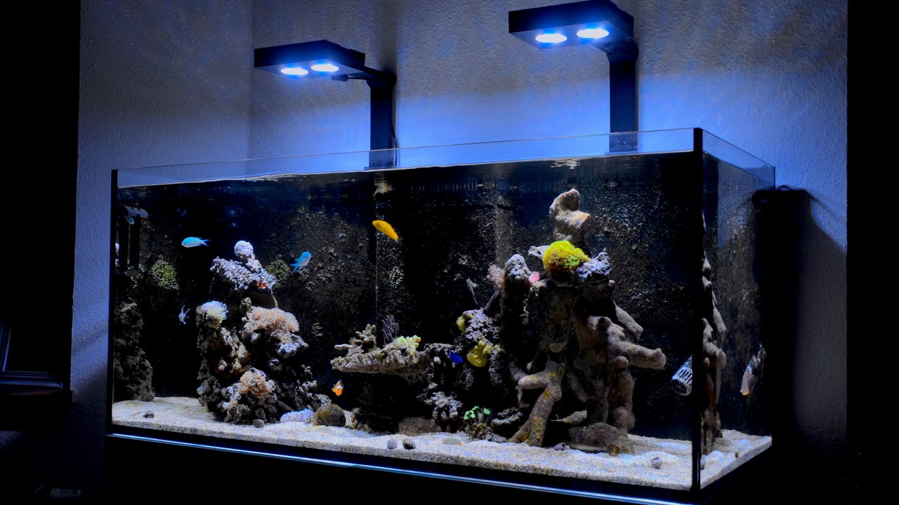 Red Sea Reefer 350 - Marine Reef Tank / Meerwasseraquarium (Update 02/2017)