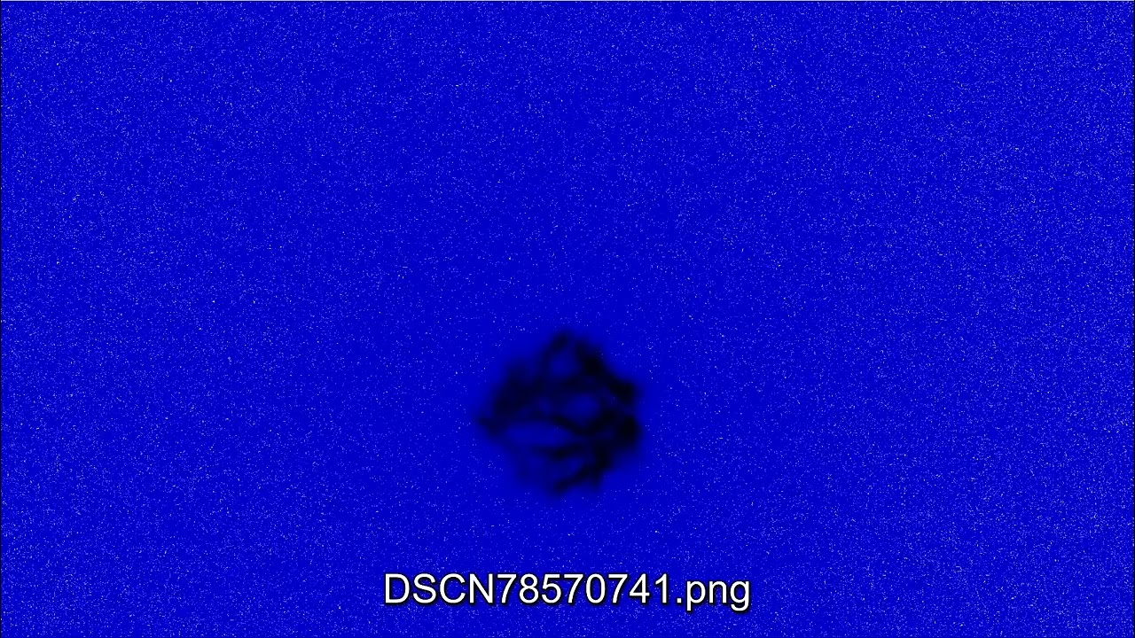 DSCN7857 gamma full frames, star