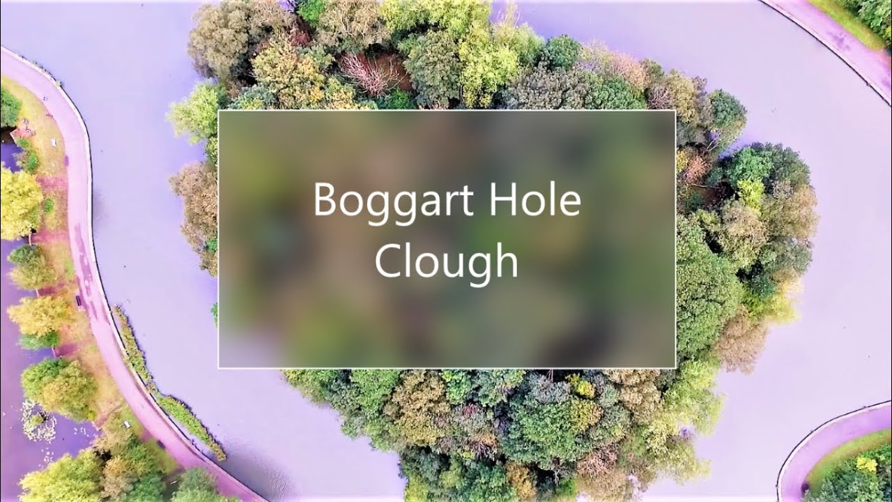 4K Drone Footage - Boggart Hole Clough, Manchester