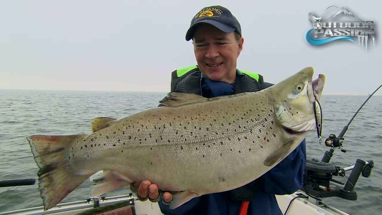 OUTDOOR PASSION, EARLY SUMMER GIANT BROWN  TROUT IN OSWEGO COUNTY!!!.