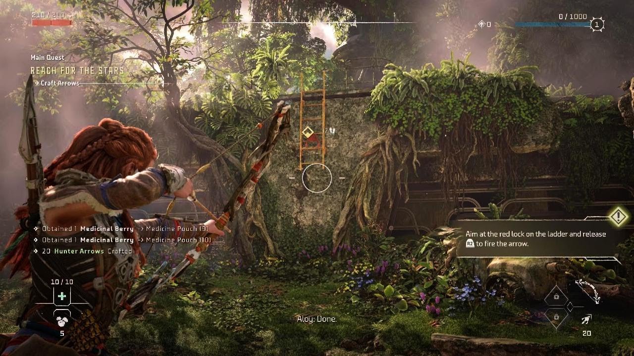 Horizon Forbidden West..