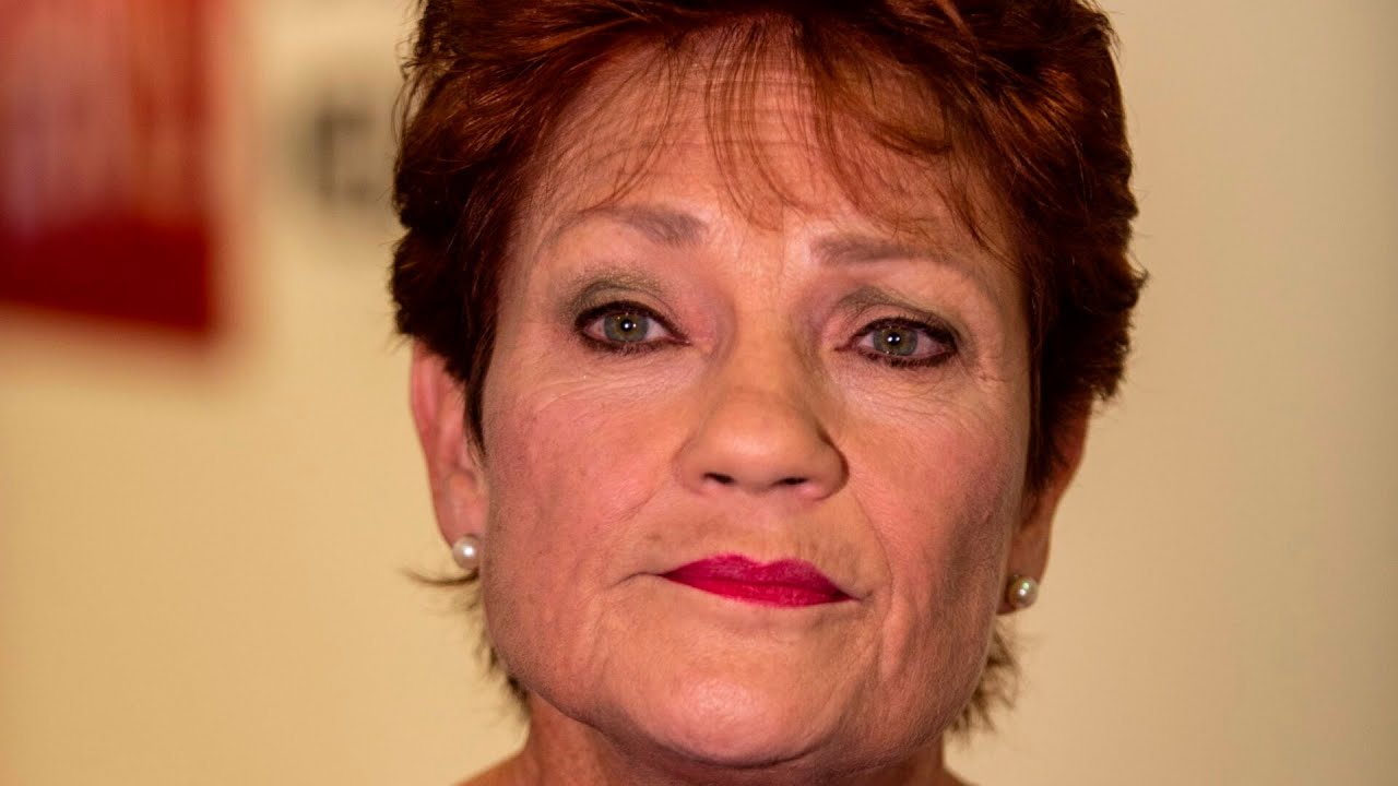 ‘Ideas have consequences’: One Nation’s rise is due to a ‘failure’ of the political class