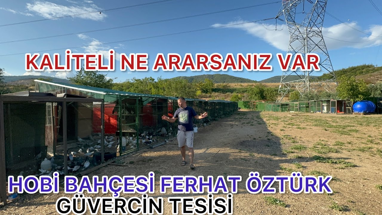 BURSA DA ÇEŞİDİ EN BOL GÜVERCİN ÇİFTLİĞİ