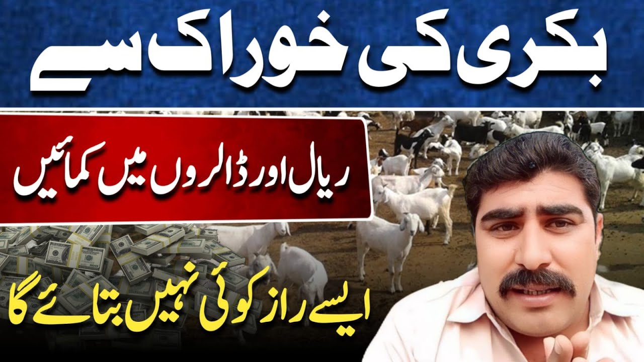 Earn Dollars from animal feed 
