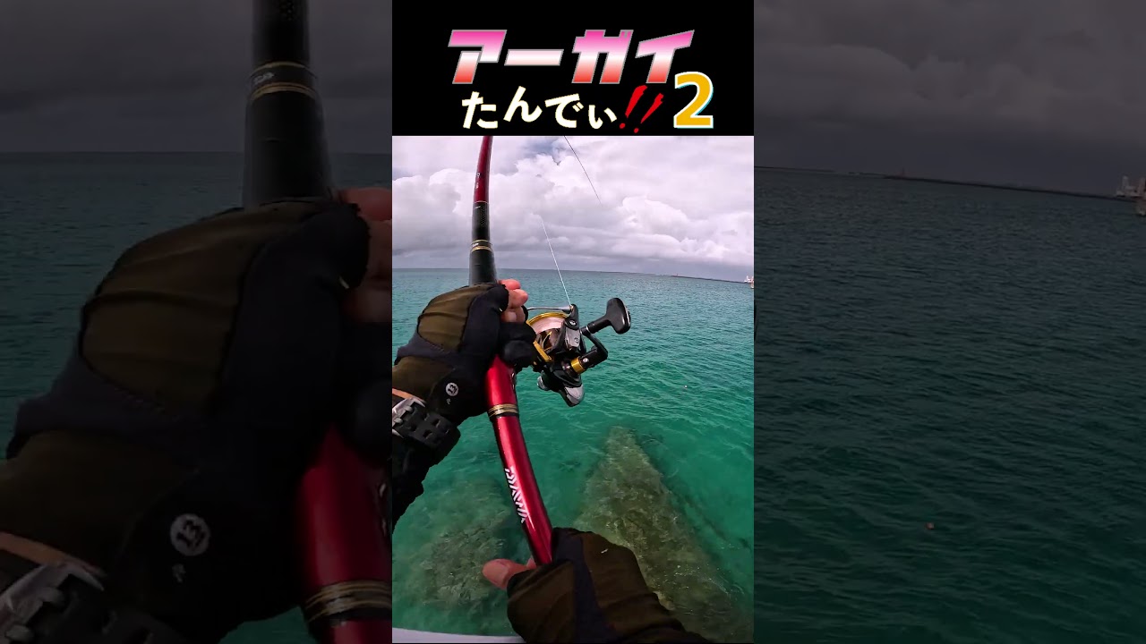 あっがいたんでぃ②...#釣り #fishing #ふかせ釣り #宮古島
