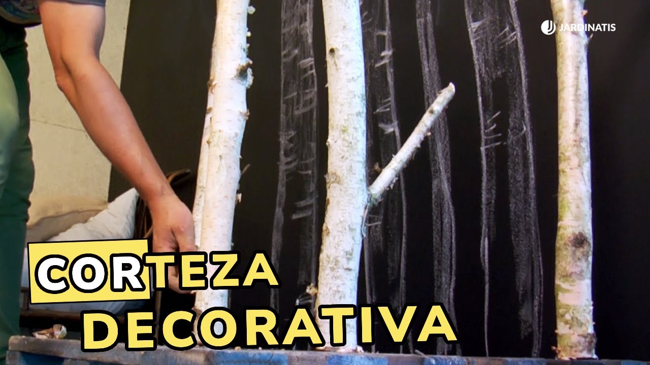 Corteza decorativa abedul: Ideas con la corteza y el tronco // Jardinatis