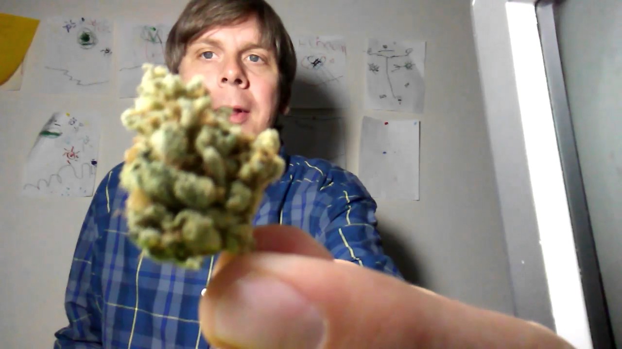 JUPITER OG STRAIN IMPRESSION