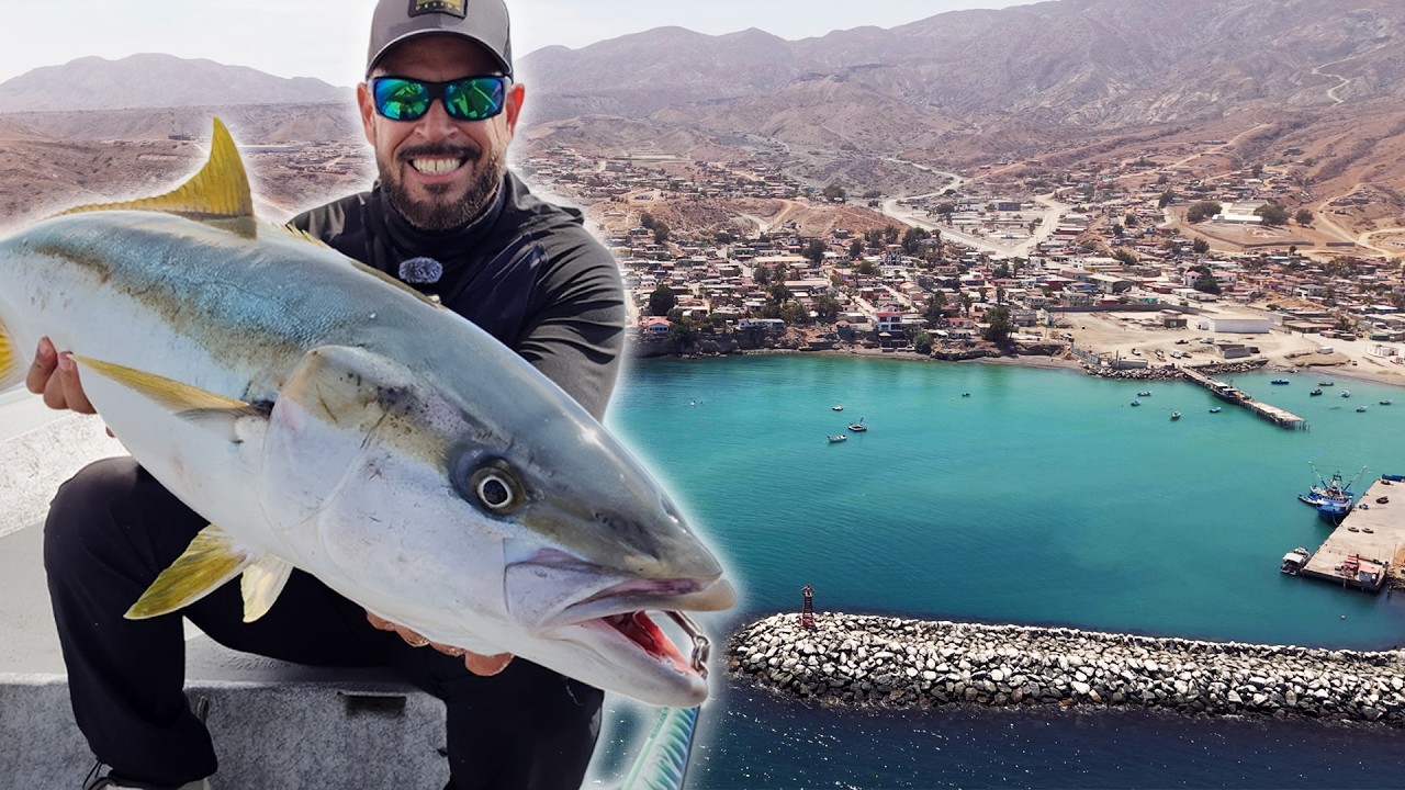 PESCA en ISLA CEDROS - La CAPITAL del Jurel Yellowtail