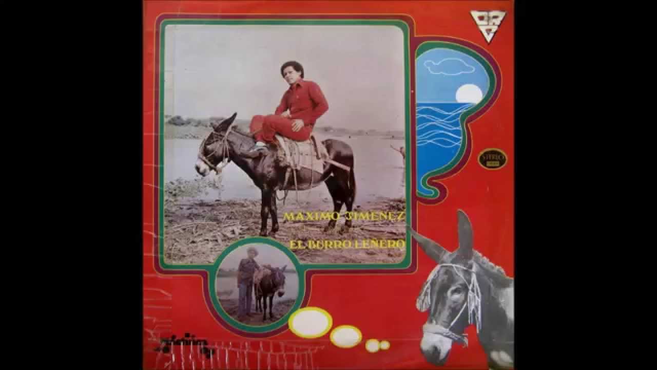 Máximo Jiménez - Usted, señor presidente