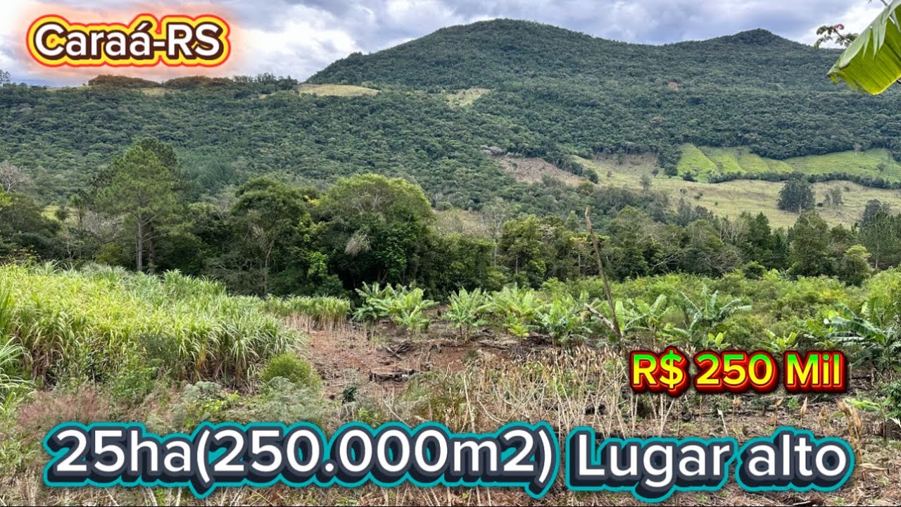 25ha (250.000m2) apenas R$ 250 Mil