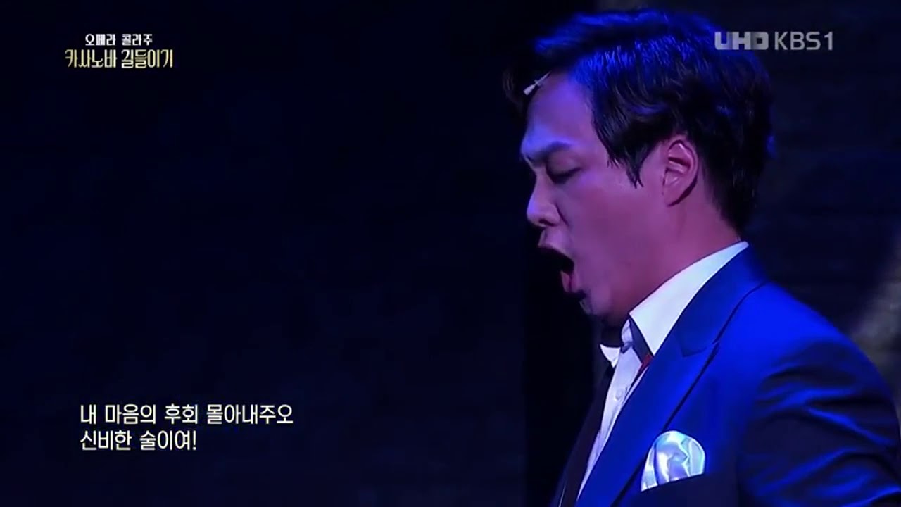 바리톤 김주택 - 햄릿 '술은 슬픔을 잊게 한다' (카사노바 길들이기中)