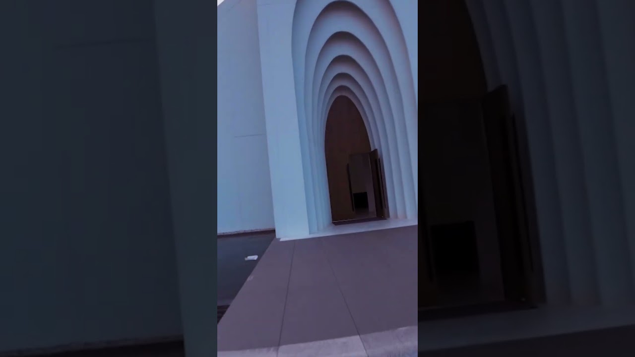 Flying a drone into a church like building | analog fpv #shorts  #geprccinelog30  #djiaction2