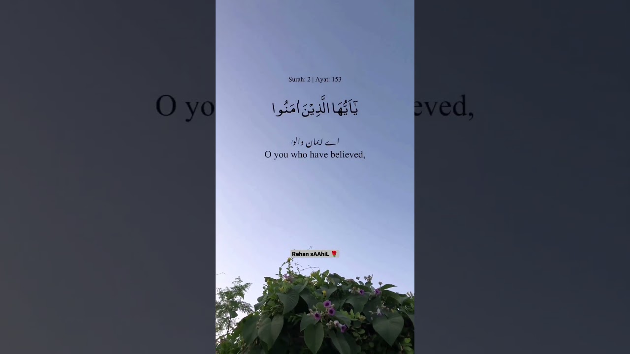 Sabr Wale 🖤 Tarjuma e Quran 🥀 Rehan sAAhiL 🌹